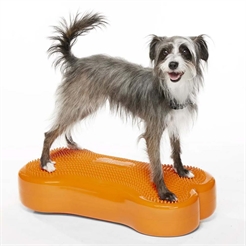 FitPaws K9 Fitbone Balance Træning Til Hund Orange